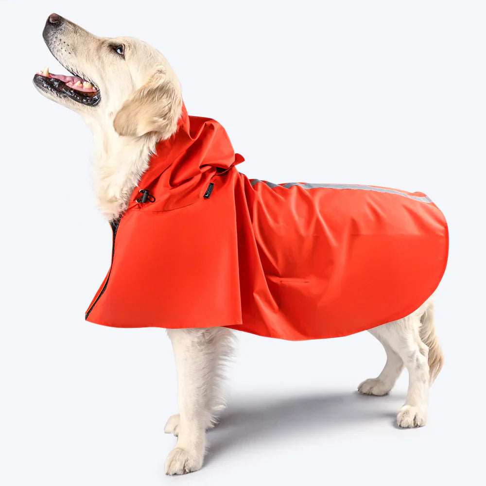 Dog Raincoat