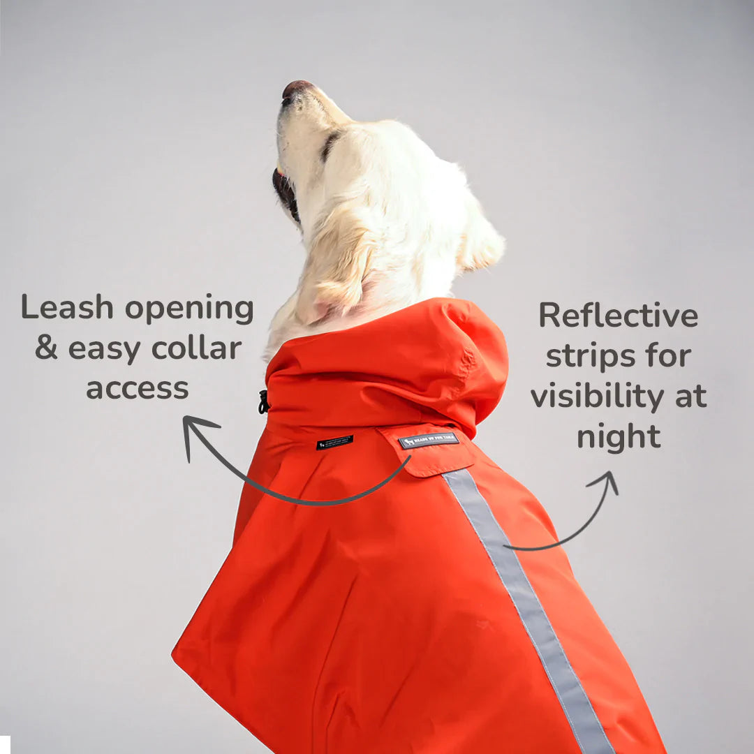 Dog Raincoat