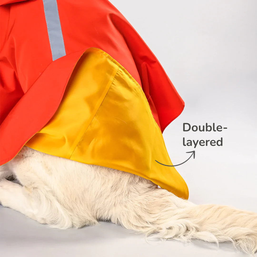 Dog Raincoat