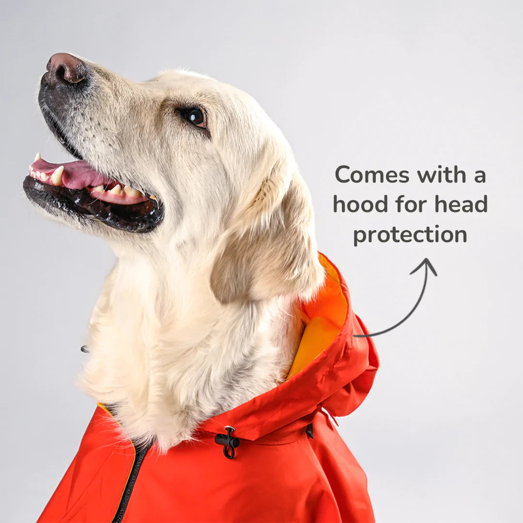 Dog Raincoat