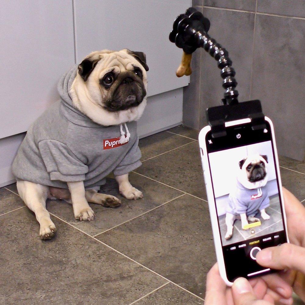 Pet Selfie Stick