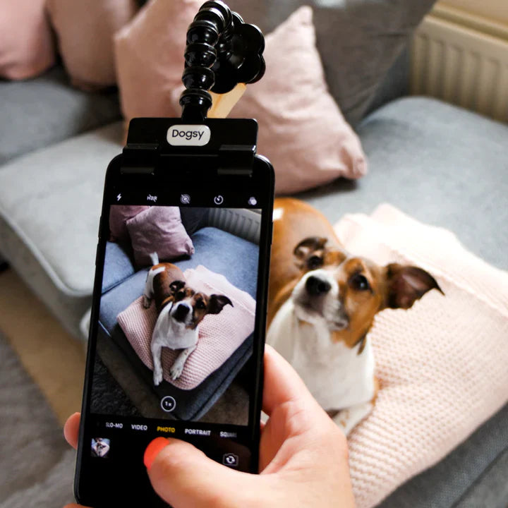 Pet Selfie Stick
