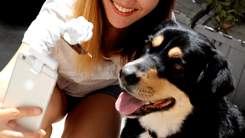 Pet Selfie Stick