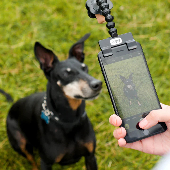 Pet Selfie Stick