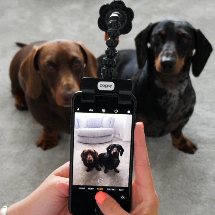 Pet Selfie Stick