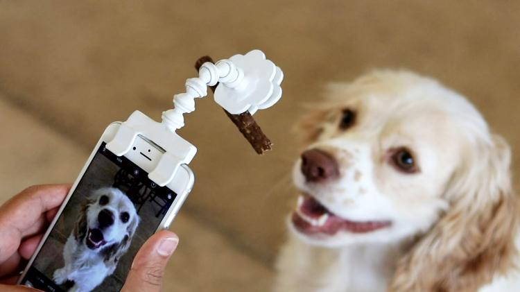 Pet Selfie Stick