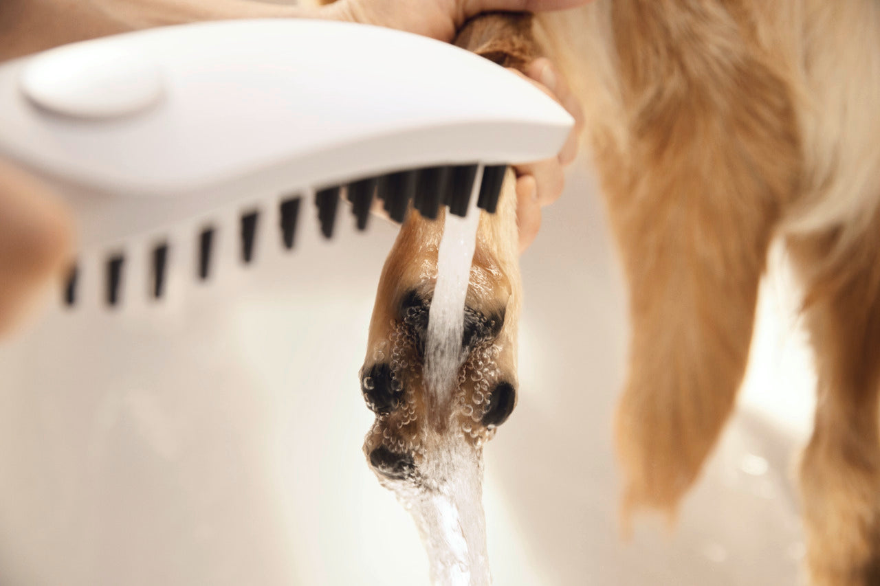 Dog Shower