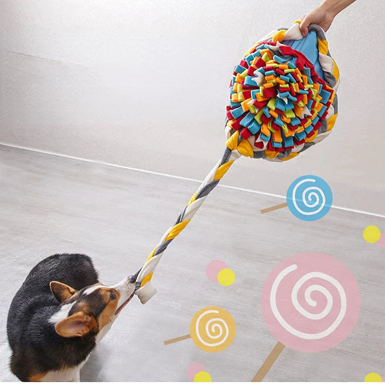 Dog Snuffle Toy