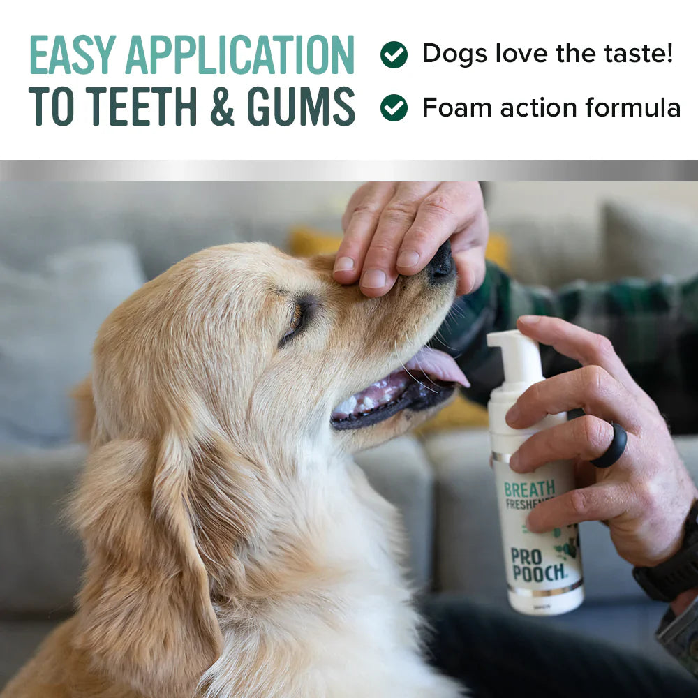 Dog Breath Freshener