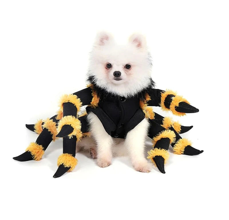 Spiderdog Costume