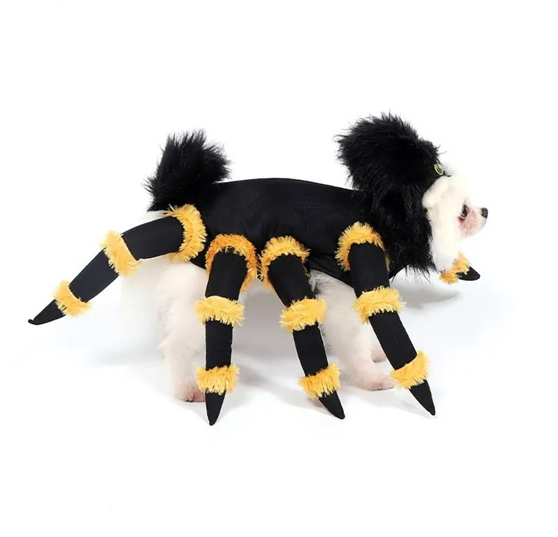 Spiderdog Costume