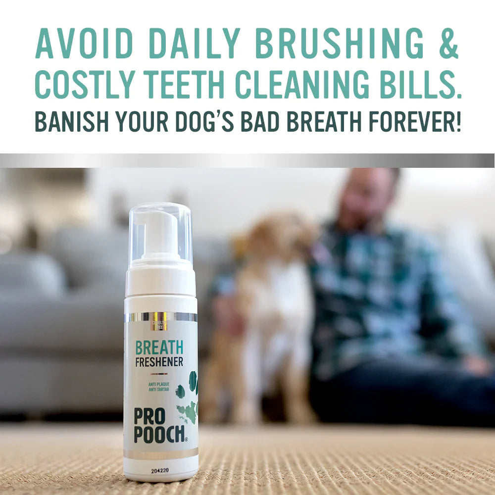 Dog Breath Freshener