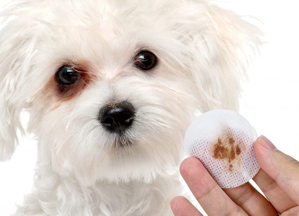 Dogs Tear Stain Remover with Chamomile
