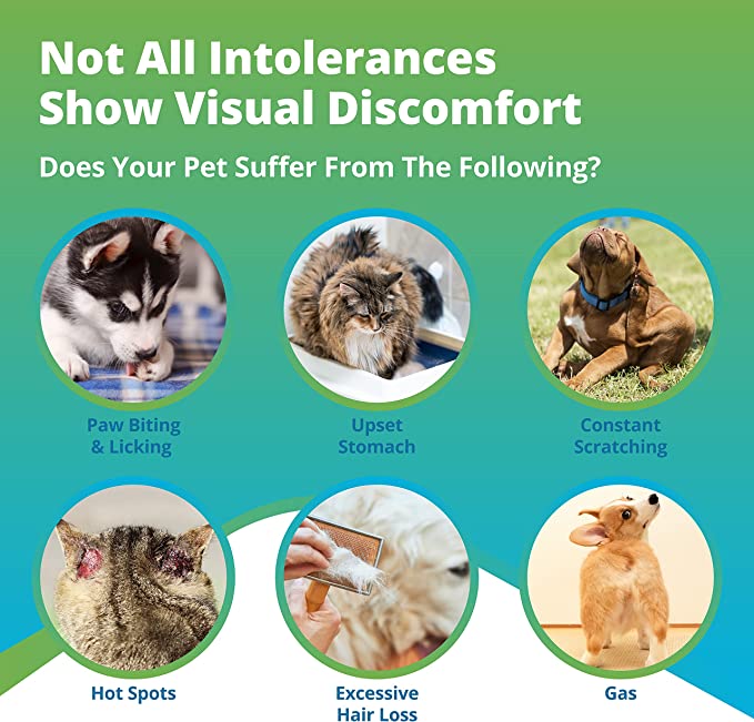 Pet Intolerance Test
