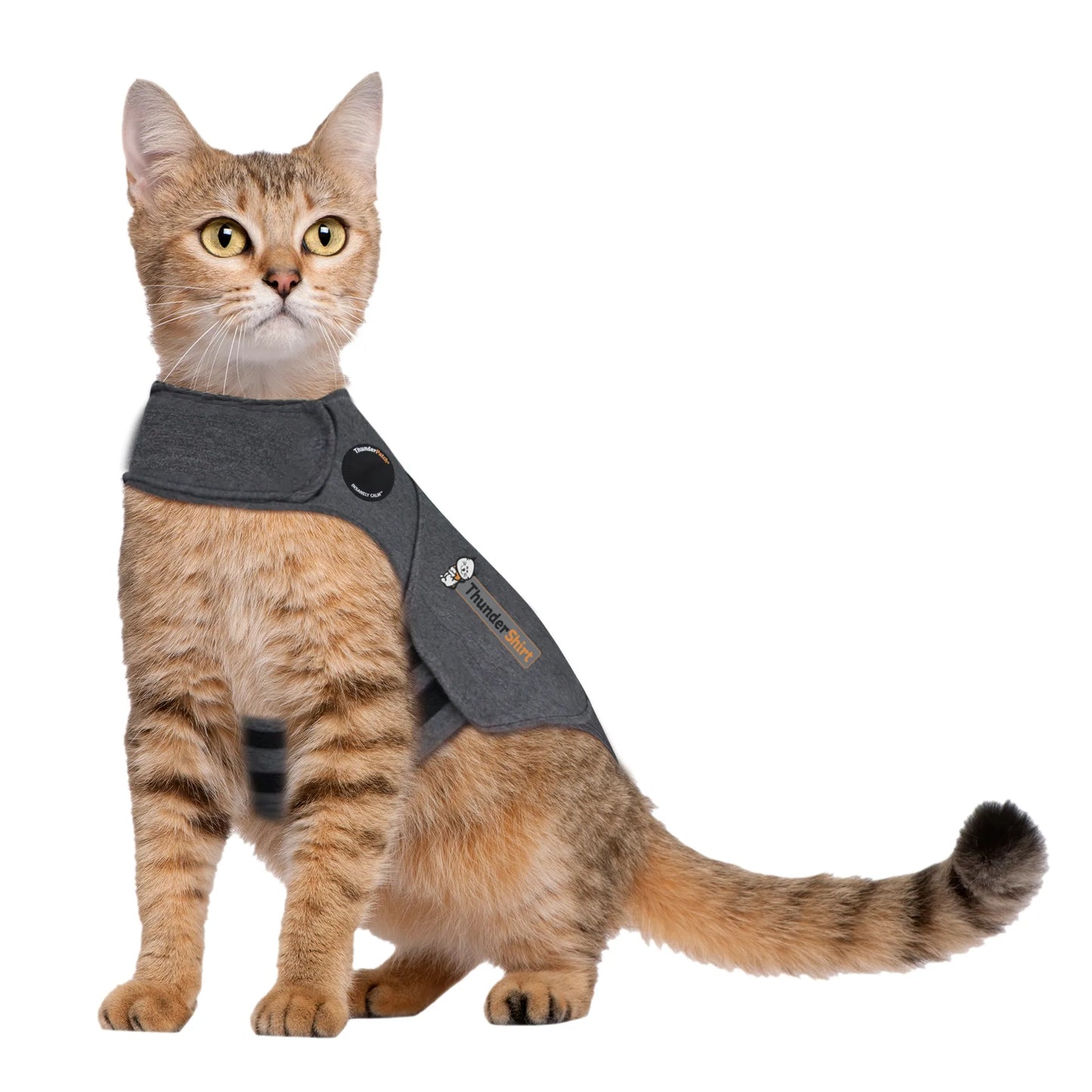 Pet ThunderShirt