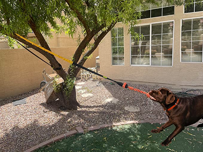 Outdoor Interactive Dog Toy