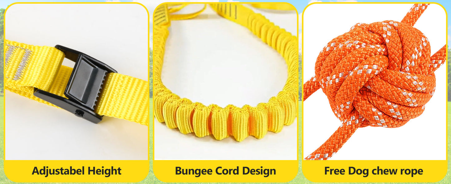 Outdoor Interactive Dog Toy