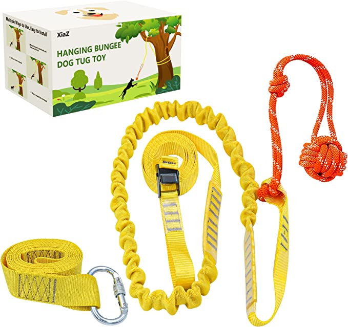 Outdoor Interactive Dog Toy