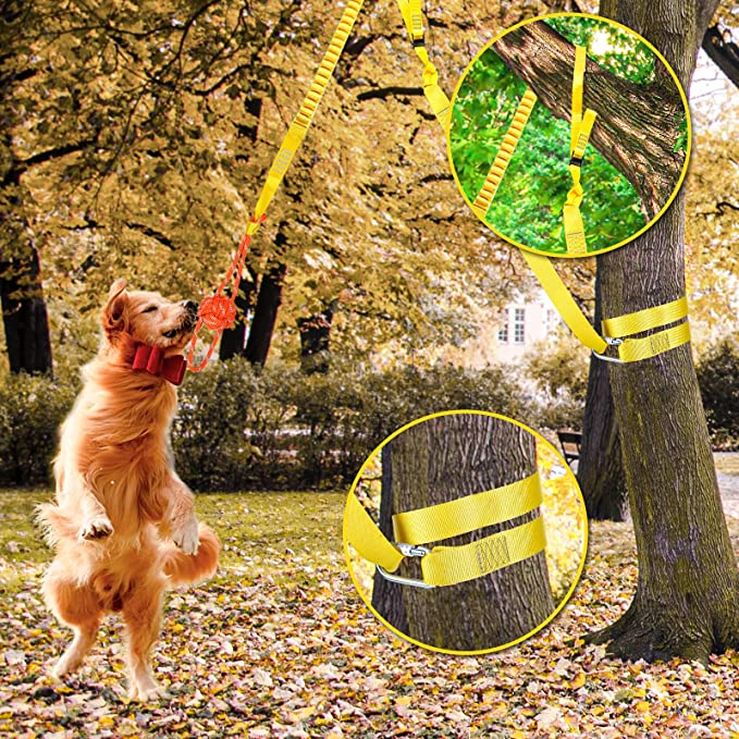 Outdoor Interactive Dog Toy