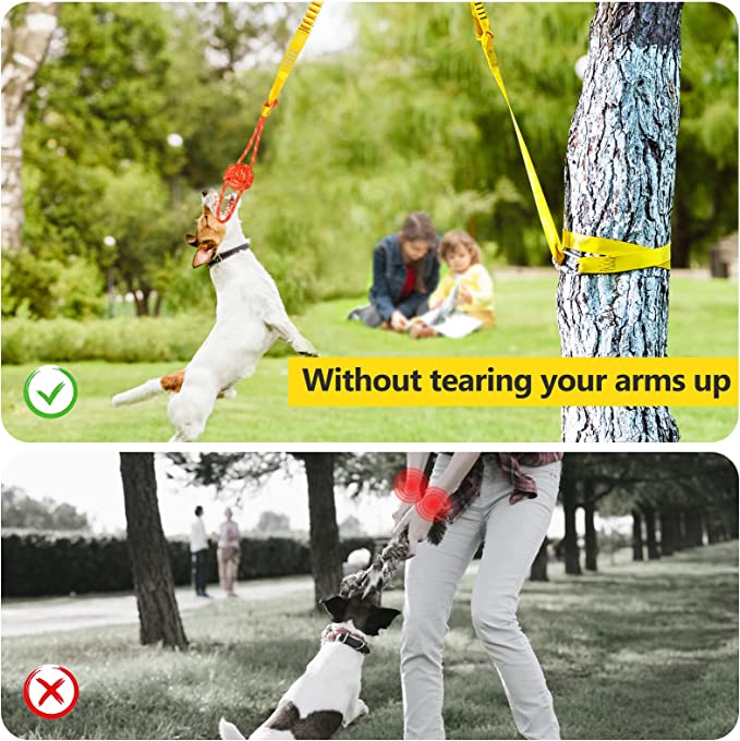 Outdoor Interactive Dog Toy