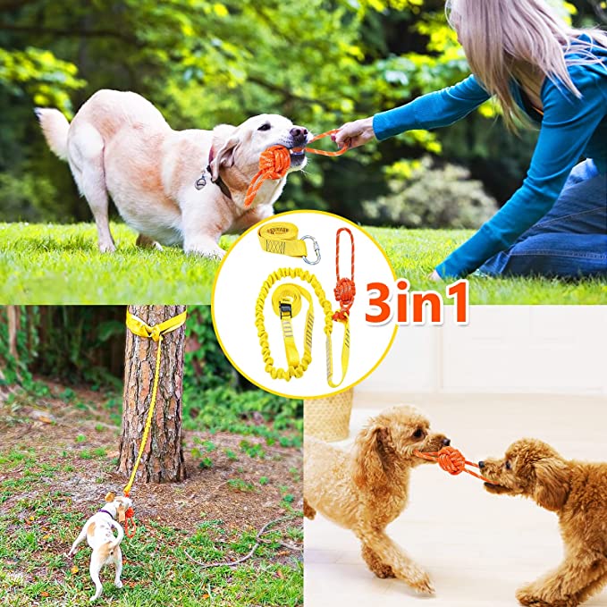 Outdoor Interactive Dog Toy