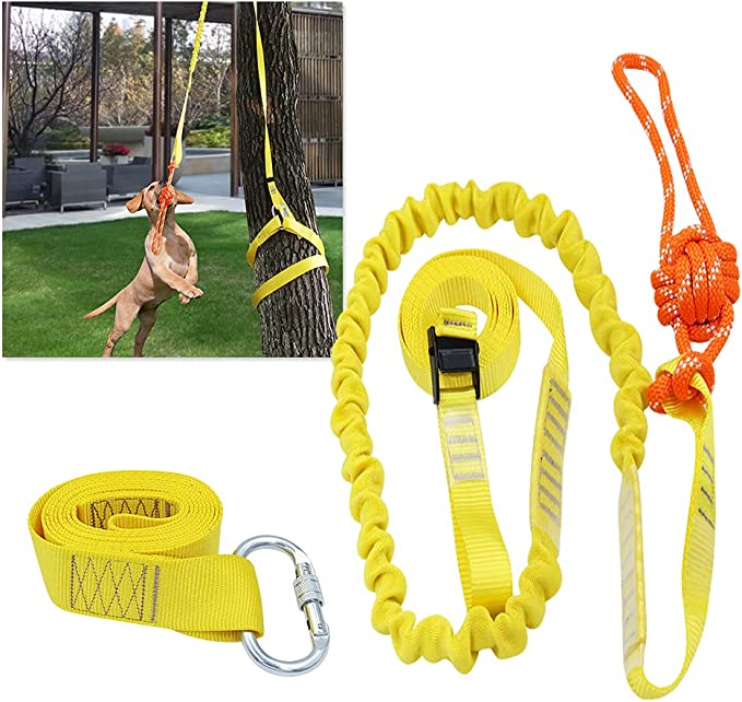 Outdoor Interactive Dog Toy