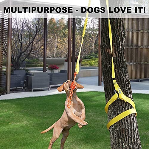 Outdoor Interactive Dog Toy